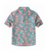 Latest Boys' Button-Down Shirts Online